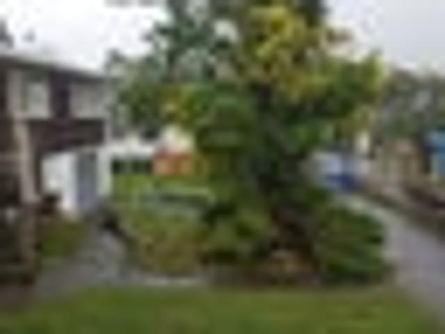 House for rent in Rapanui
