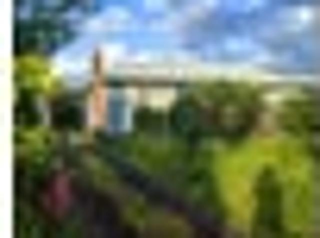 House for rent in Rapanui, Oroua County