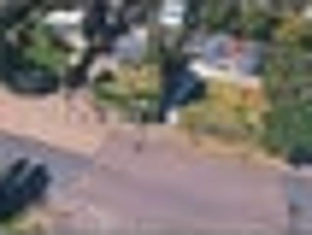 House for rent in Te Atatū South, Henderson-Massey