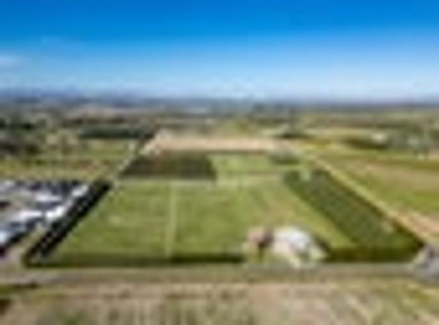 Land for sale in Napier