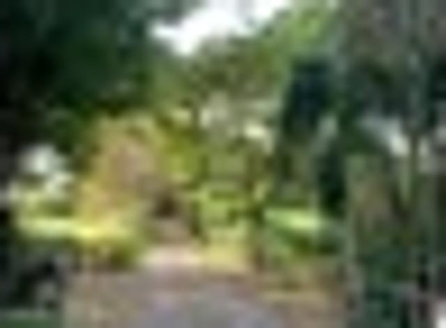 House for rent in Te Awamutu, Waikato