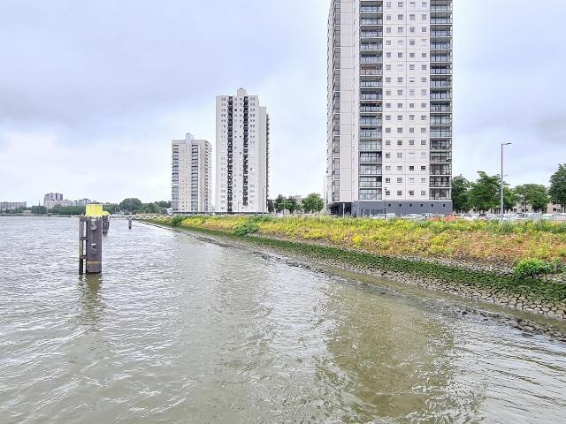 Appartement te huur in De Esch, Rotterdam