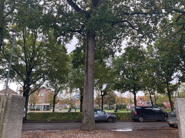 Appartement te huur in Noord Brabant