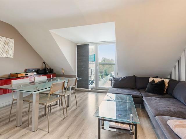 Appartement location à Houthalen-helchteren, Limburg