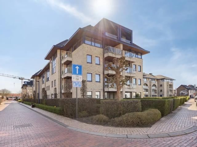 Appartement location à Audenarde, Oost-Vlaanderen