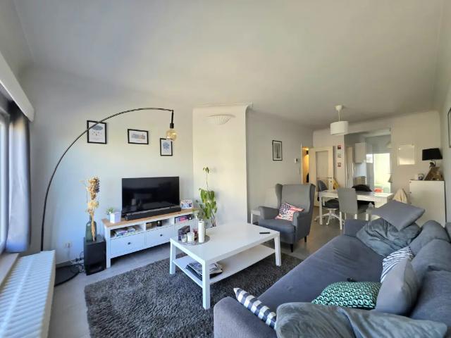 Appartement location à Sint-pieters-woluwe, Bruxelles