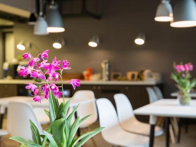 Appartement te huur in Scheveningen, Zuid Holland