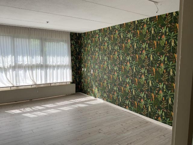 Appartement te huur in Assen
