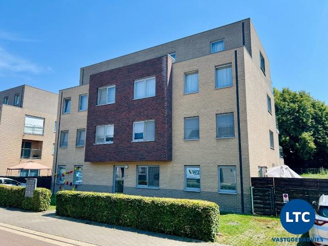 Appartement location à Tienen, Brabant
