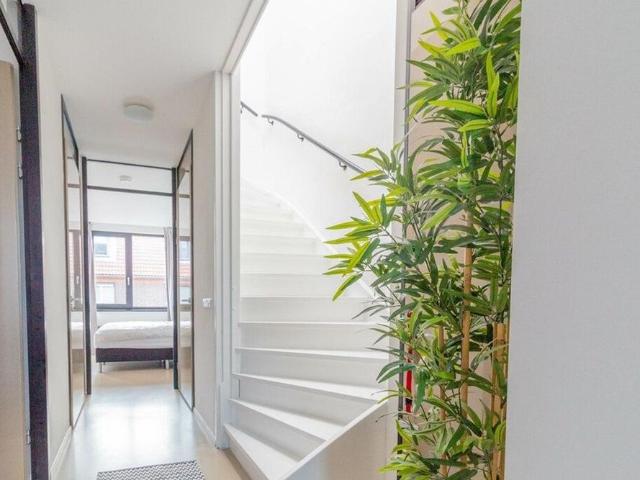 Appartement te huur in Haarlem