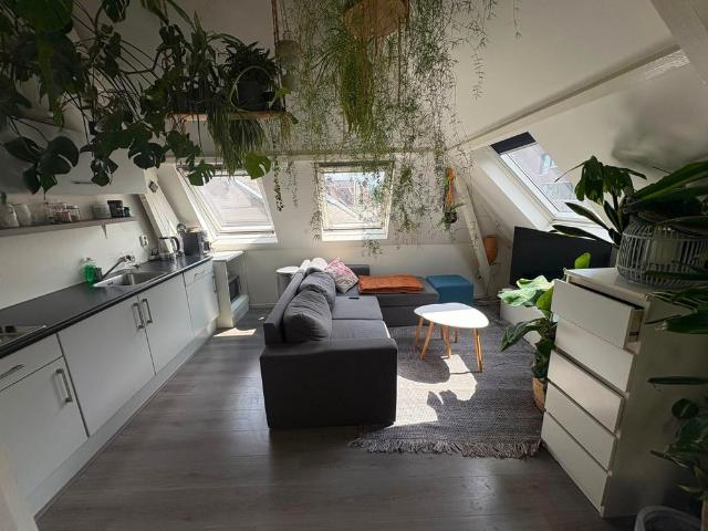 Appartement te huur in Oud-Noord, Tilburg
