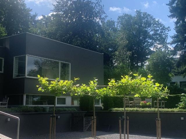 Appartement te huur in Sint Marten/Sonsbeek, Arnhem