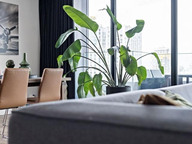 Appartement te huur in Centrum, Rotterdam