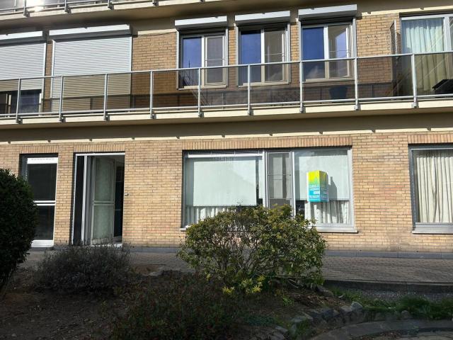 Appartement location à Dendermonde