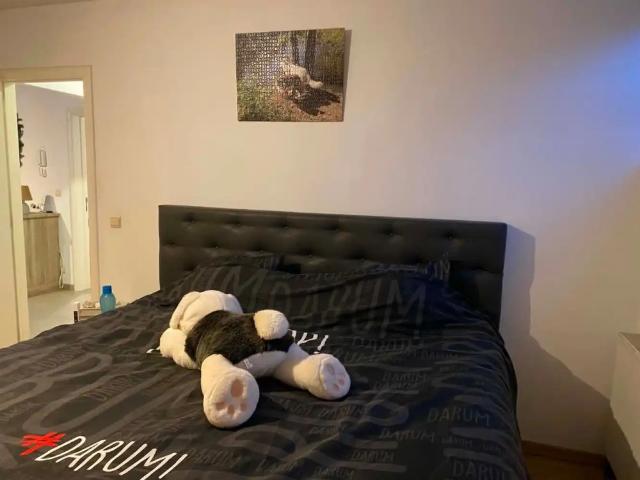 Appartement location à Halle, Brabant