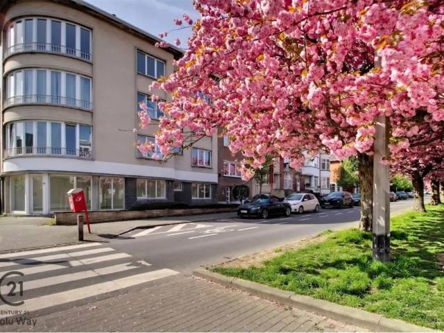 Local Commercial location à Sint-lambrechts-woluwe, Bruxelles
