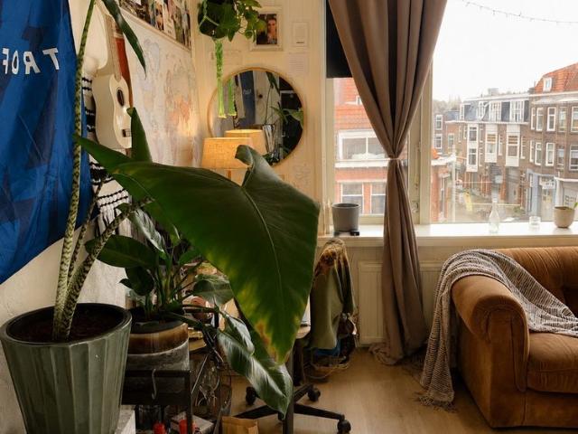 Woning te huur in Hillegersberg-Schiebroek, Rotterdam