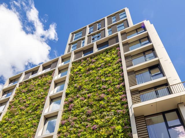 Appartement te huur in Kralingen-Oost, Rotterdam