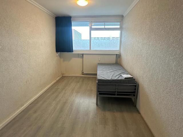 Kamer te huur in Ommoord, Rotterdam