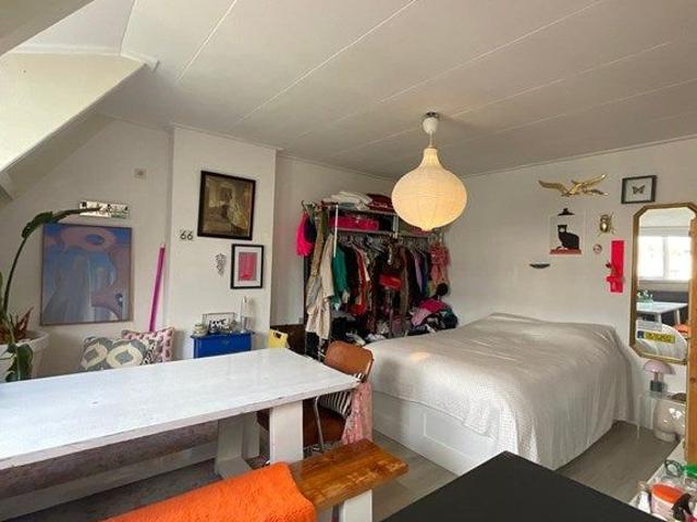 Kamer te huur in Centrum, Arnhem
