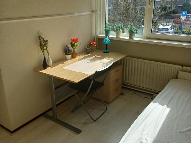 Kamer te huur in De Engel, Zuid Holland