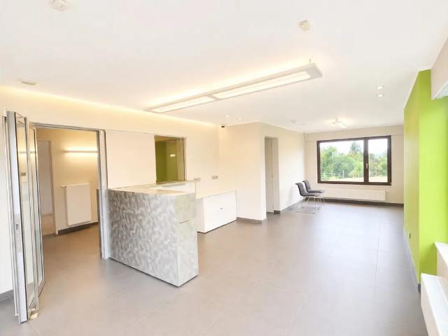 Bureau location à Audenarde, Oost-Vlaanderen