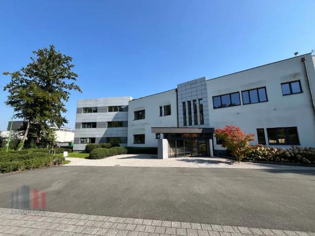 Bureau location à Desteldonk, Oost-Vlaanderen