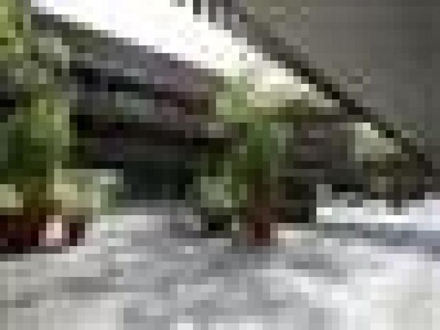 Appartement te huur in Haarzuilens, Utrecht