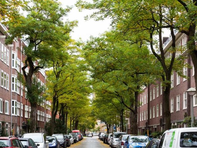 Appartement te huur in Zuid, Amsterdam