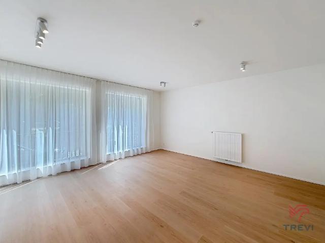 Kot location à Brussel, Bruxelles