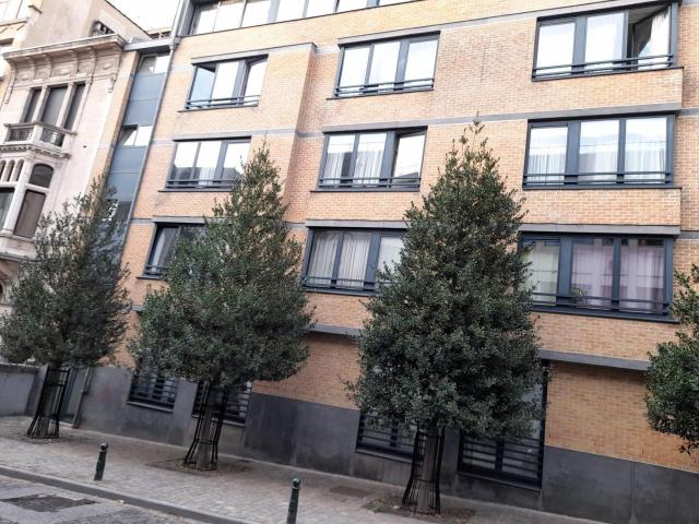 Kot location à Brussel, Bruxelles