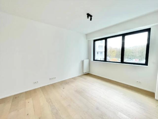 Kot location à Sint-lambrechts-woluwe, Bruxelles