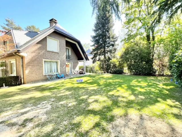 Chalet location à Sint-pieters-woluwe, Bruxelles