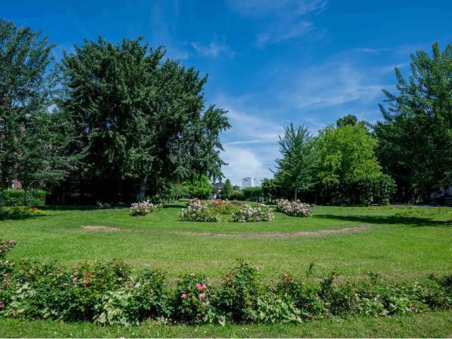 Appartement vente à Desteldonk, Oost-Vlaanderen