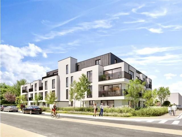 Appartement vente à Renaix, Oost-Vlaanderen