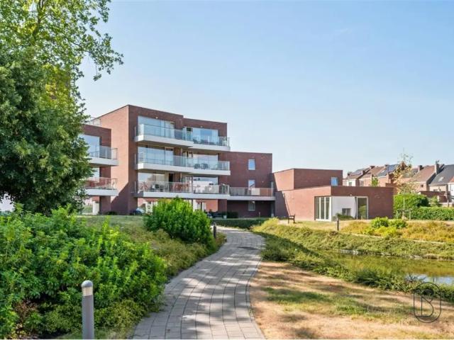 Appartement vente à Renaix, Oost-Vlaanderen