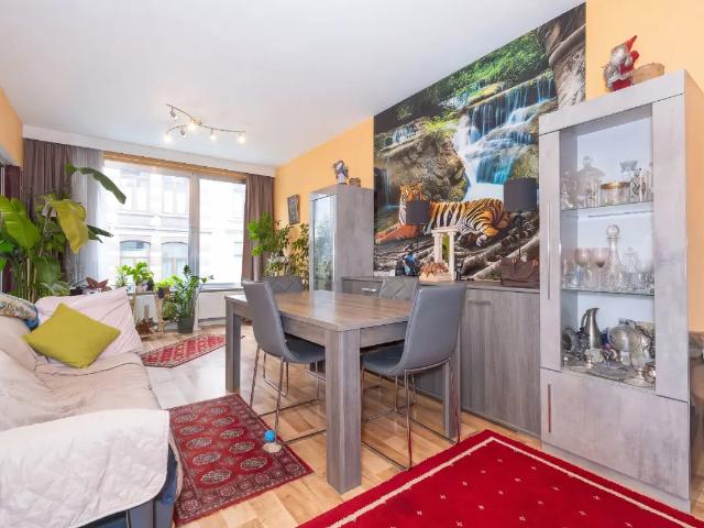 Appartement vente à Schaerbeek - Schaarbeek, Brussel-Hoofdstad - Bruxelles-Capitale