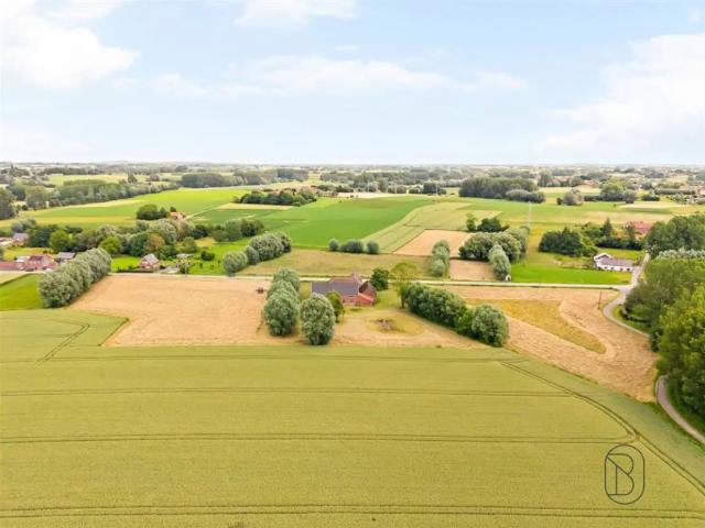 Terrain vente à Wodecq, Wallonie
