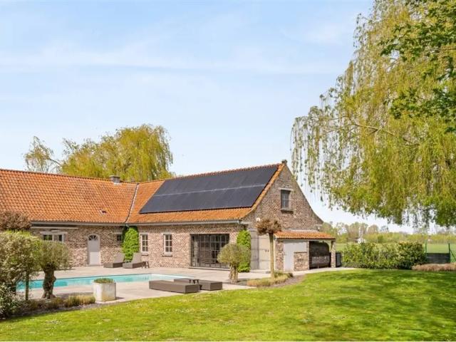 Terrain vente à Kruishoutem, Oost-Vlaanderen