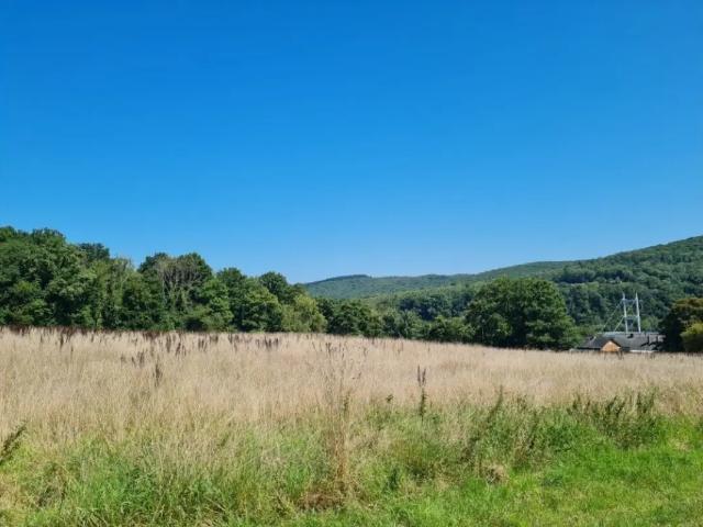 Maison vente à Heer-Agimont, Agimont