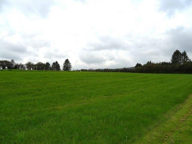 Maison vente à Amelsdorp, Wallonie