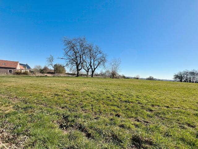 Maison vente à Bever, Brabant