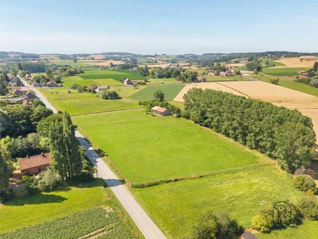 Maison vente à Wodecq, Wallonie