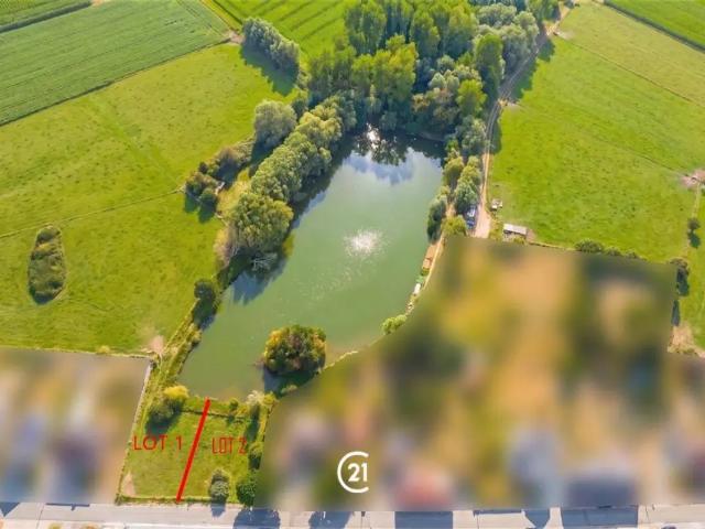Maison vente à Galmaarden, Brabant