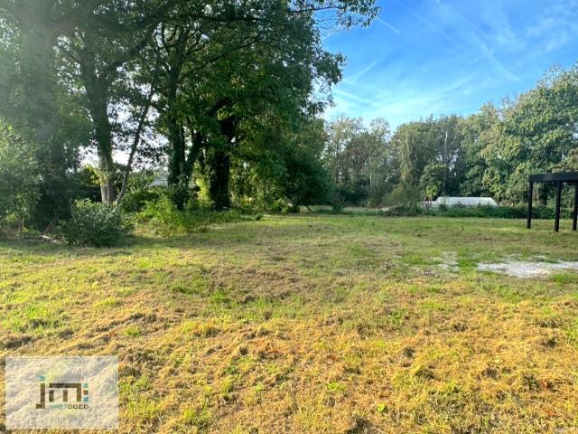 Maison vente à Houthalen-helchteren, Limburg