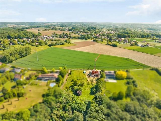 Maison vente à Renaix, Oost-Vlaanderen