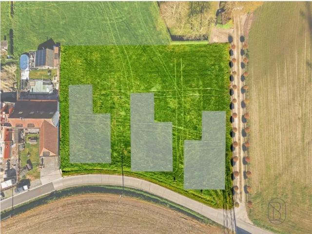 Maison vente à Wortegem-petegem, Oost-Vlaanderen