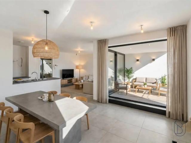 Duplex vente à Renaix, Oost-Vlaanderen