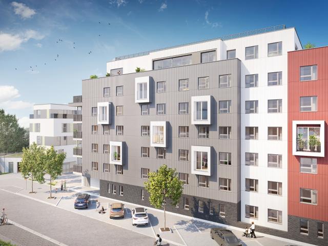 Kot vente à Brunehaut, Wallonie