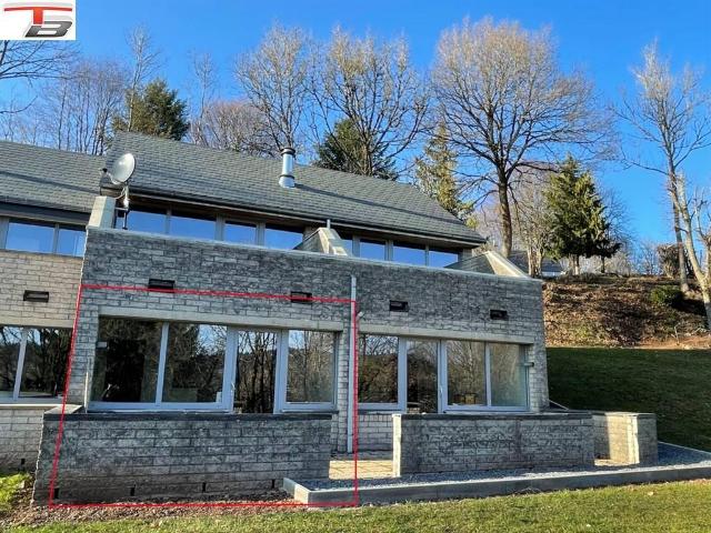 Kot vente à Malmedy, Wallonie